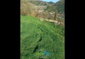 Land suitable for development for sale on España, Almuñécar, ref: TR378071 photo