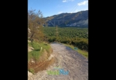 Land suitable for development for sale on España, Almuñécar, ref: TR378071 photo