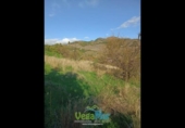Land suitable for development for sale on España, Almuñécar, ref: TR378071 photo