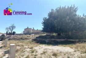 Arboleas 900&nbsp;m² 