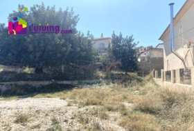 Arboleas 900&nbsp;m² 