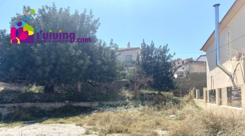 Almería - Arboleas - 900m2