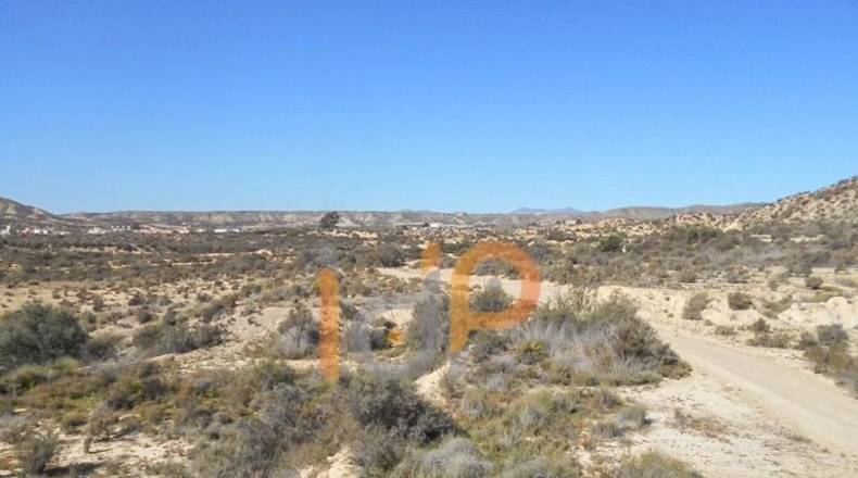 Almería - Huércal-Overa - 60000m2