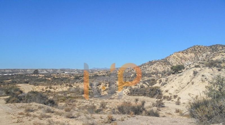Almería - Huércal-Overa - 60000m2