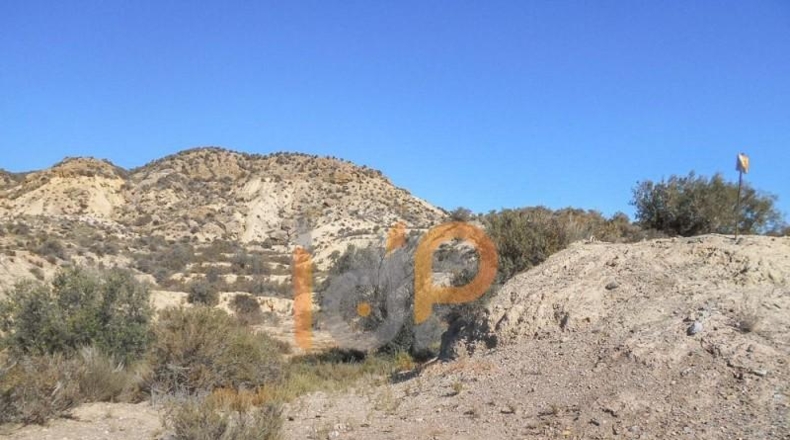 Almería - Huércal-Overa - 60000m2