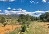 Land suitable for development for sale on España, Monóvar, ref: TR119682 photo