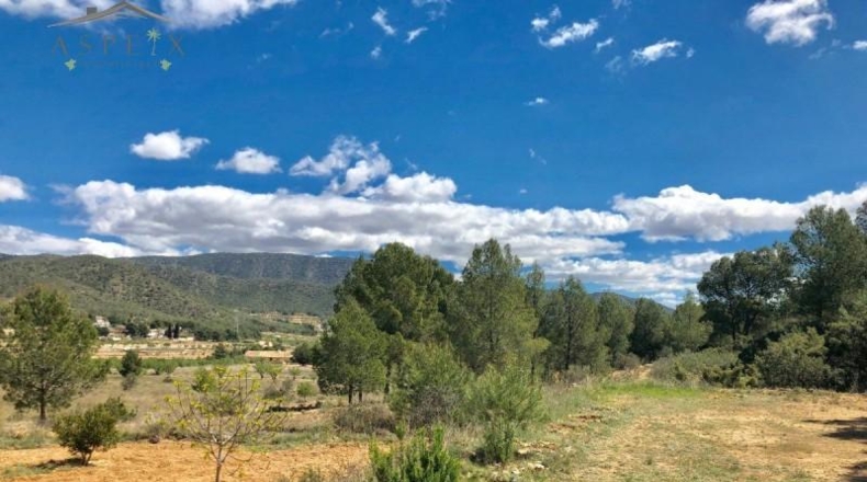 Alicante - la Romana - 40000m2