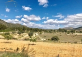 Land suitable for development for sale on España, Monóvar, ref: TR119682 photo