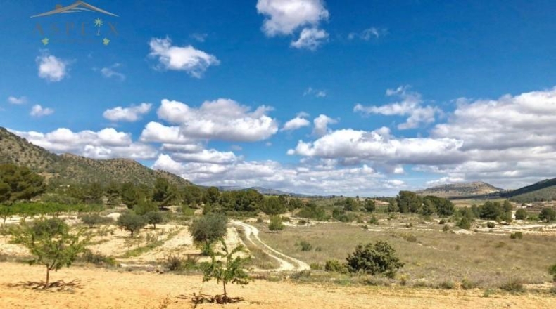 Alicante - la Romana - 40000m2