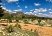 Land suitable for development for sale on España, Monóvar, ref: TR119682 photo