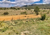 Land suitable for development for sale on España, Monóvar, ref: TR119682 photo