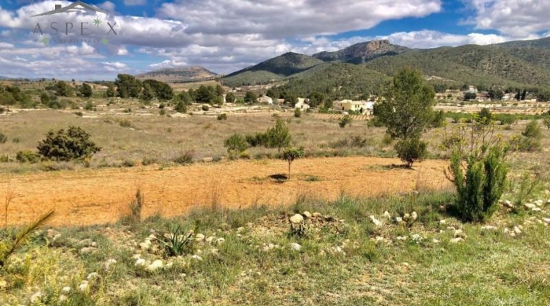 Alicante - la Romana - 40000m2