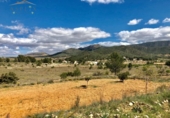 Land suitable for development for sale on España, Monóvar, ref: TR119682 photo