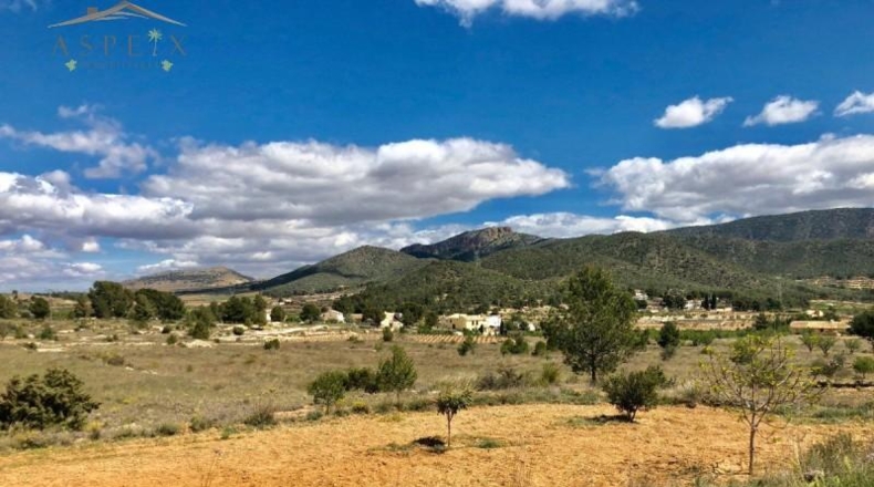 Alicante - la Romana - 40000m2