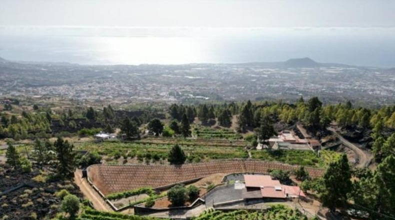 Santa Cruz de Tenerife - Arafo - 6000m2