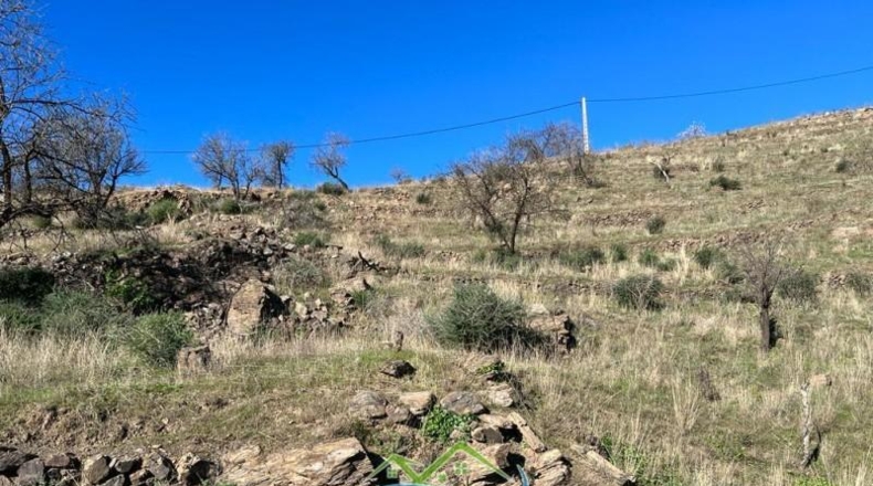 Granada - Almuñécar - 12067m2