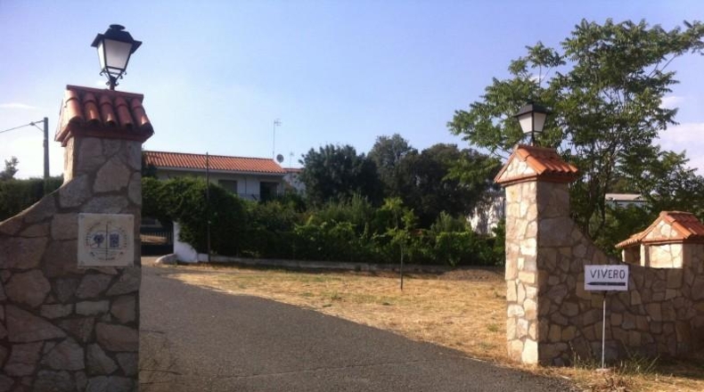 Cáceres - Cañaveral - 2500m2