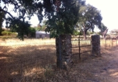 Terreny no urbanitzable en venda a la España, Cañaveral, ref.: TR121345 foto