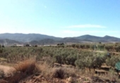 Land suitable for development for sale on España, Hondón de las Nieves, ref: TR121436 photo