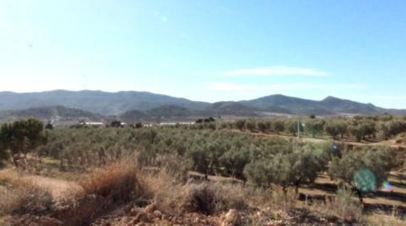 Alicante - Hondón de las Nieves - 11452m2