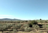 Land suitable for development for sale on España, Hondón de las Nieves, ref: TR121436 photo