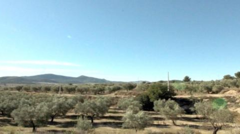 Alicante - Hondón de las Nieves - 11452m2
