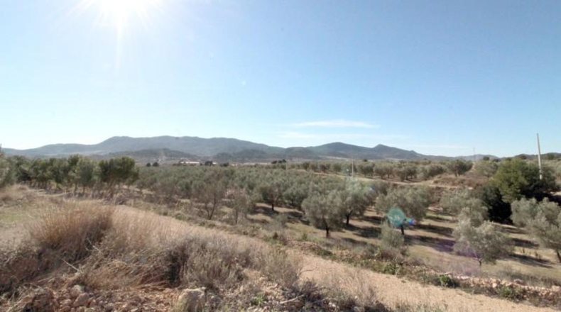 Alicante - Hondón de las Nieves - 11452m2