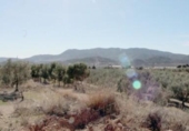 Land suitable for development for sale on España, Hondón de las Nieves, ref: TR121436 photo