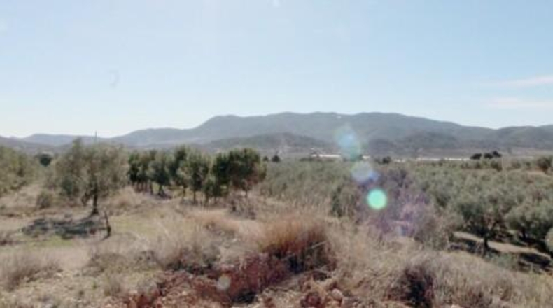 Alicante - Hondón de las Nieves - 11452m2