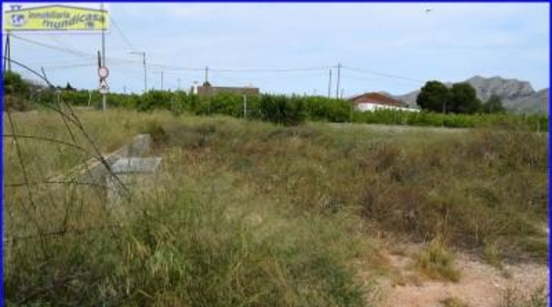 Múrcia - Santomera - 1155m2