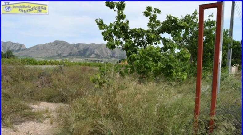Múrcia - Santomera - 1155m2