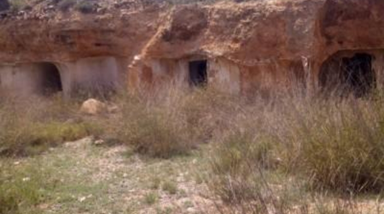 Alicante - Monóvar - 13900m2