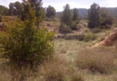 Terreny no urbanitzable en venda a la España, Monòver, ref.: TR122122 foto
