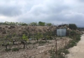 Parcel·la urbanitzable en venda a la España, Novelda, ref.: TR122137 foto