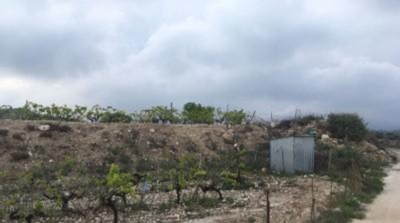 Alicante - Novelda - 27500m2