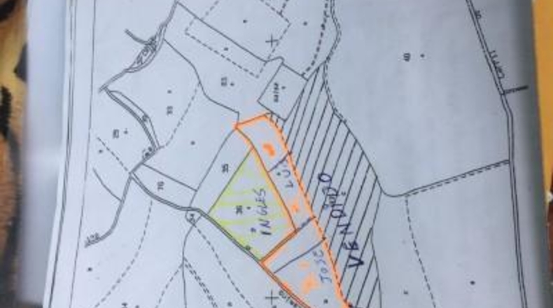 Alicante - Novelda - 27500m2