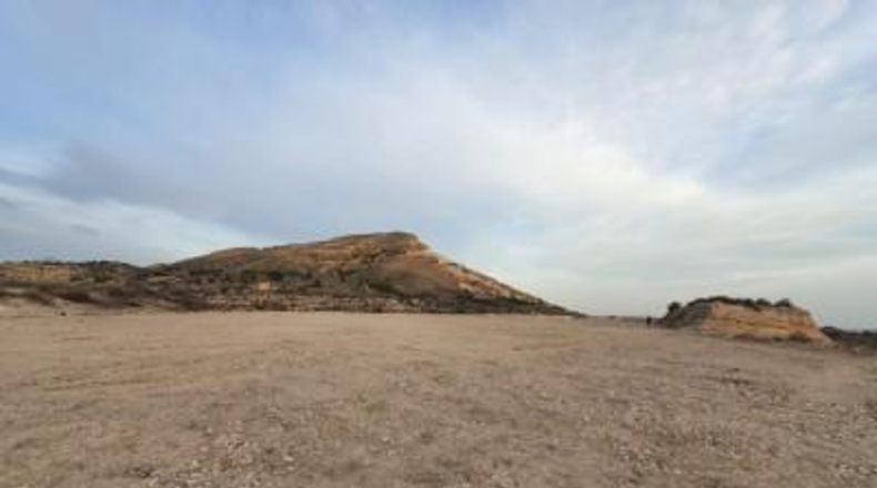 Alicante - Novelda - 16000m2