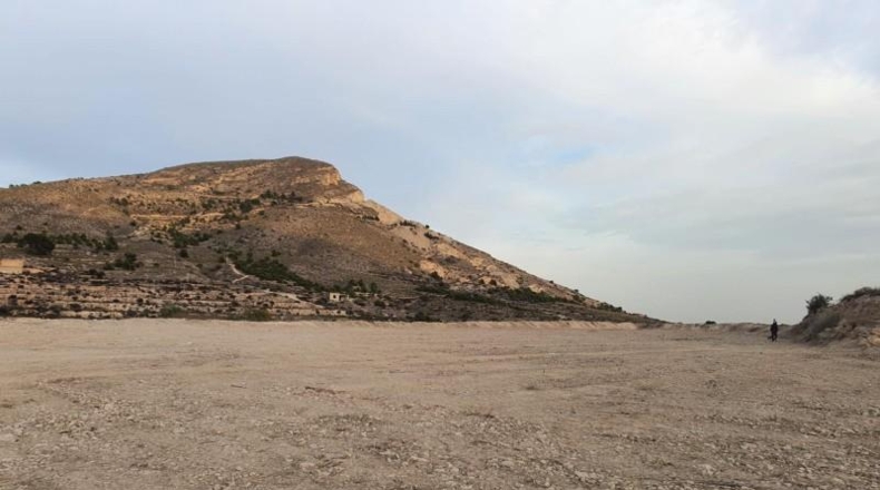 Alicante - Novelda - 16000m2