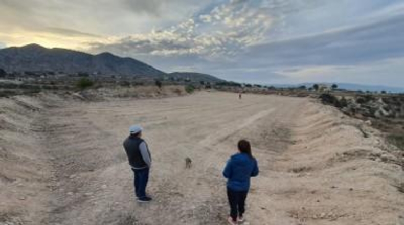 Alicante - Novelda - 16000m2