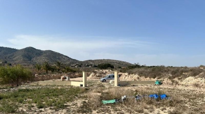 Alicante - Novelda - 16000m2