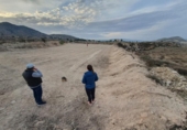 Land suitable for development for sale on España, Novelda, ref: TR122155 photo