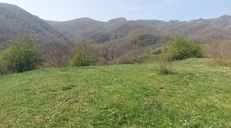 Cantàbria - Pesaguero - 1751m2