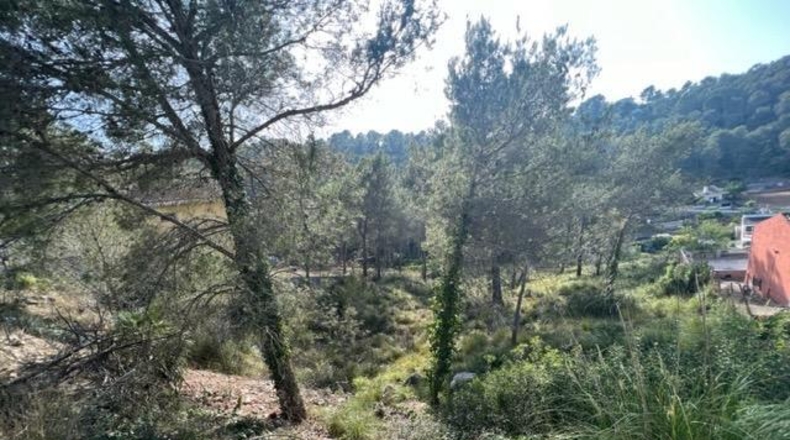 Barcelona - Canyelles - 710m2