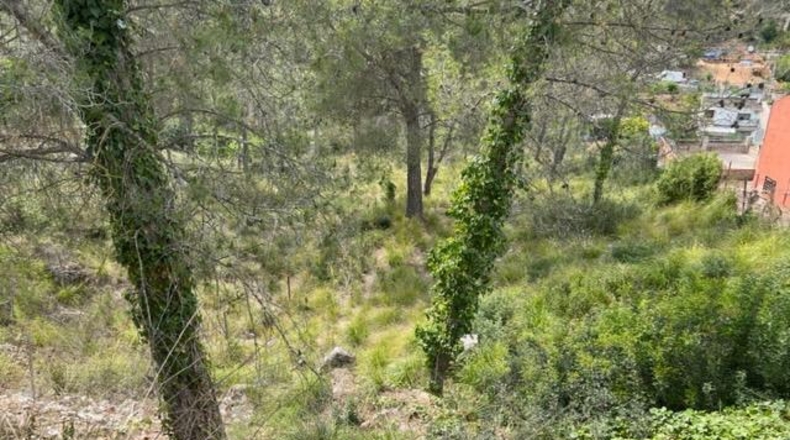 Barcelona - Canyelles - 710m2