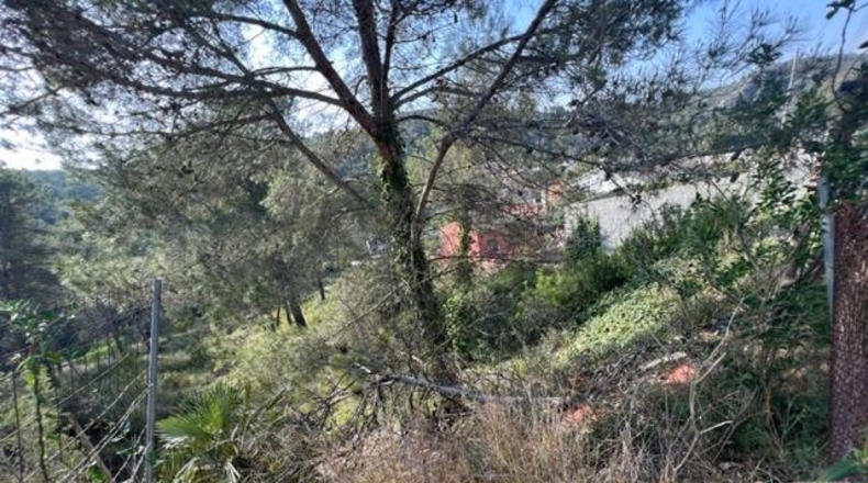 Barcelona - Canyelles - 710m2