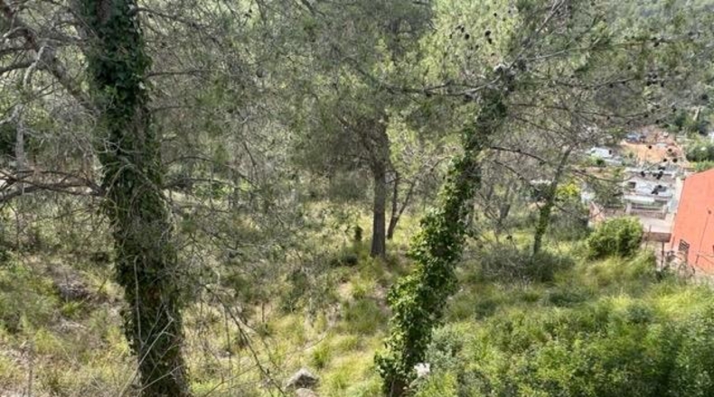 Barcelona - Canyelles - 710m2