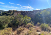 Non-developable land for sale on España, Riba-roja d'Ebre, ref: TR112384 photo