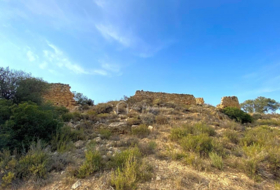 Riba-roja d'Ebre 143497&nbsp;m² 