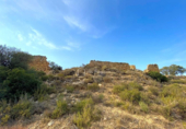 Non-developable land for sale on España, Riba-roja d'Ebre, ref: TR112384 photo