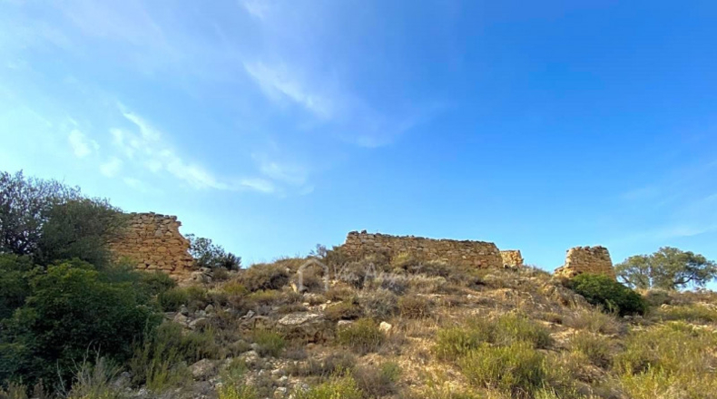 Tarragona - Ribarroja de Ebro - 143497m2